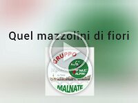 Video.Guru 20260329 090131570