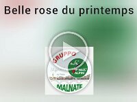 Video.Guru 20260329 121440551