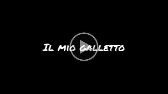 Video.Guru_20250816_111753249