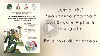 Video.Guru_20251026_132143589 null