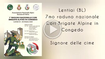 Video.Guru_20251026_170620984 null