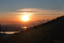 039_DSCF3720_X-T5 null