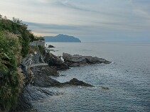 002_DSCF9585_X-T5 null