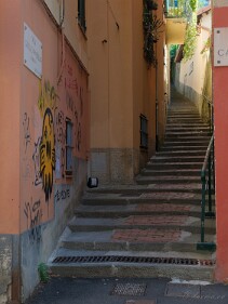 005_DSCF0317_X-T5 null