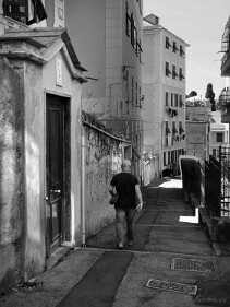 025_DSCF0337_X-T5 null