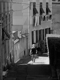 028_DSCF0340_X-T5 null
