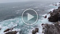 VID_20260510_174742 null