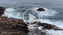 VID_20260510_175235 null