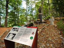 IMG_20260819_104359 null