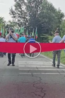 VID-20260727-WA0006 null