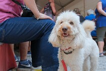 643_DSCF9745_X-T5 null