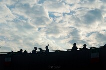 DSC_0012 null
