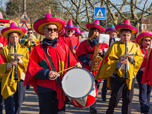 La Banda di Capolago al carnevale Caronnese