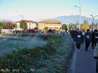 DSC 0461 (2) - Copia