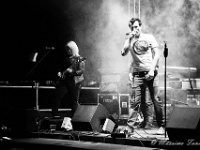 IMG 0155 copia