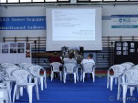 DSF0823  Rassegna 2017