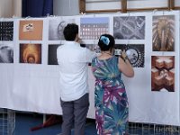 DSF0840  Rassegna 2017