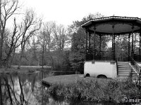 DSC 0976-1