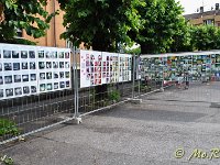 DSC 0237