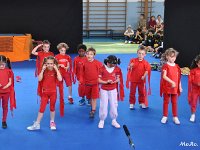 DSC 0246-001