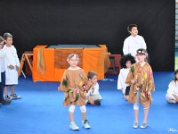 DSC 0247-001