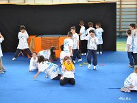 DSC 0252-001