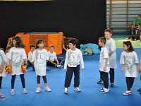 DSC 0279-001
