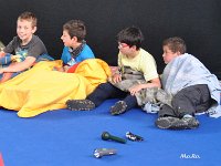 DSC 0308-001