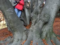 IMG 5071 resize