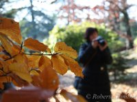 IMG 5089 resize