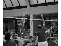 DSC 6945  Giovanotte 2012