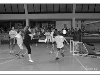DSC 7000  Giovanotte 2012