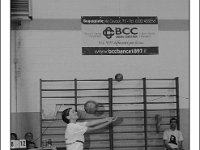 DSC 7046  Giovanotte 2012