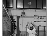 DSC 7051  Giovanotte 2012