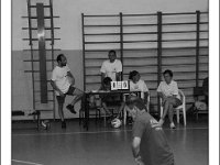 DSC 7070  Giovanotte 2012