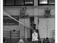 DSC 7113  Giovanotte 2012