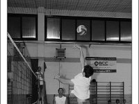 DSC 7172  Giovanotte 2012