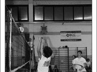 DSC 7174  Giovanotte 2012