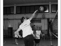 DSC 7208  Giovanotte 2012