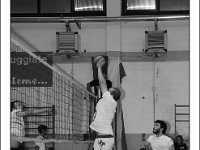 DSC 7216  Giovanotte 2012
