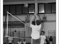 DSC 7218  Giovanotte 2012