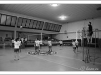 DSC 7296  Giovanotte 2012