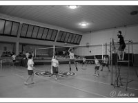 DSC 7297  Giovanotte 2012