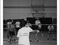 DSC 7303  Giovanotte 2012