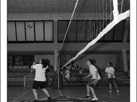 DSC 7309  Giovanotte 2012