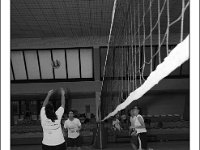 DSC 7313  Giovanotte 2012
