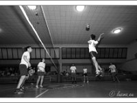 DSC 7325  Giovanotte 2012