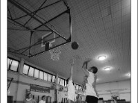 DSC 7364  Giovanotte 2012