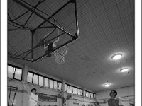DSC 7365  Giovanotte 2012