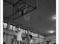 DSC 7370  Giovanotte 2012